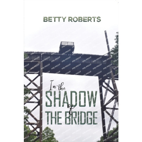 Austin Macauley Publishers LLC In the Shadow of the Bridge (häftad, eng)