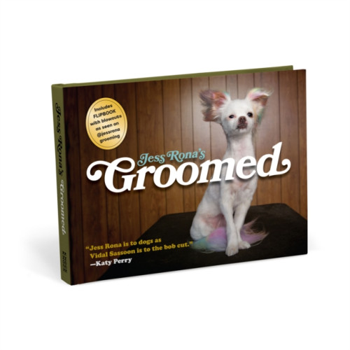 Knock Knock Jess Rona's Groomed (inbunden, eng)