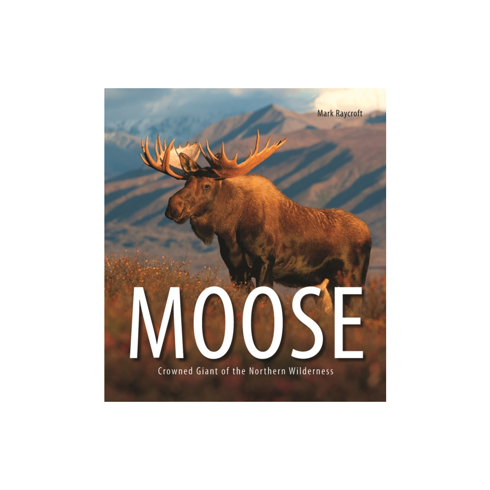 Produktbild för Moose (häftad, eng)