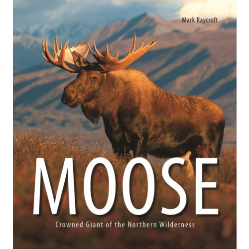 Firefly Books Ltd Moose (häftad, eng)
