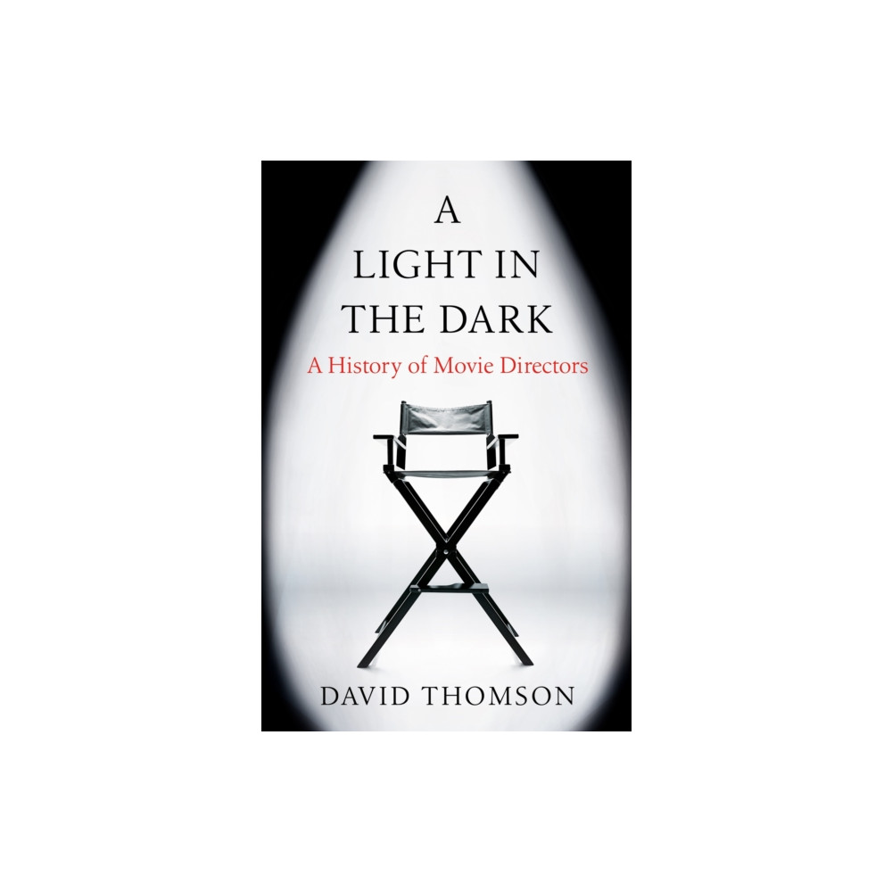 Produktbild för A Light in the Dark (häftad, eng)