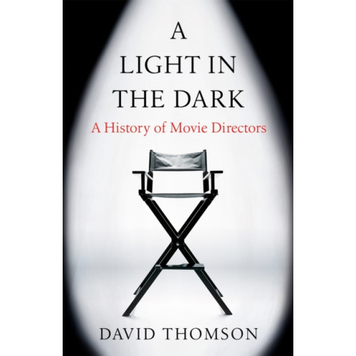 Orion Publishing Co A Light in the Dark (häftad, eng)