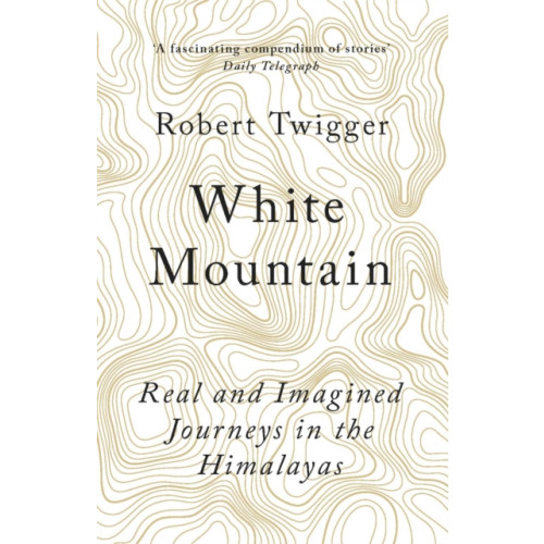 Orion Publishing Co White Mountain (häftad, eng)