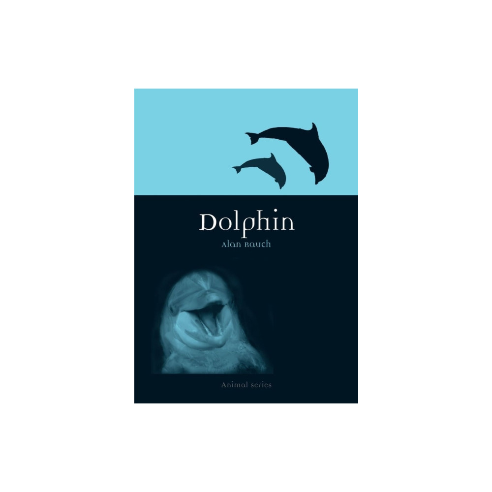 Produktbild för Dolphin (häftad, eng)