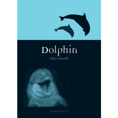 Reaktion Books Dolphin (häftad, eng)