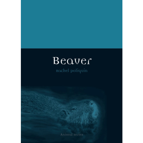 Reaktion Books Beaver (häftad, eng)