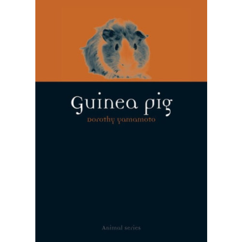 Reaktion Books Guinea Pig (häftad, eng)