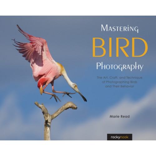 Rocky Nook Mastering Bird Photography (häftad, eng)