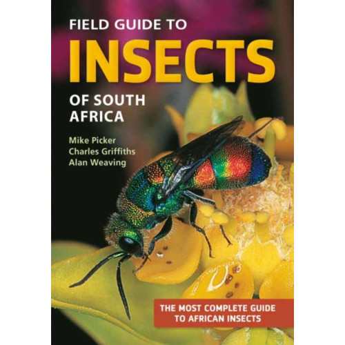 Penguin Random House South Africa Field Guide to Insects of South Africa (häftad, eng)