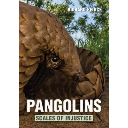 Penguin Random House South Africa Pangolins (häftad, eng)