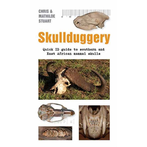 Penguin Random House South Africa Skullduggery A Quick (häftad, eng)