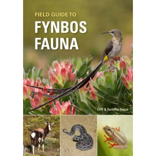 Penguin Random House South Africa Field Guide to Fynbos Fauna (häftad, eng)