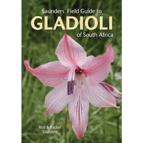 Penguin Random House South Africa Saunders' Field Guide to Gladioli of South Africa (häftad, eng)