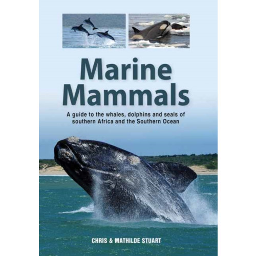 Penguin Random House South Africa Marine Mammals (häftad, eng)