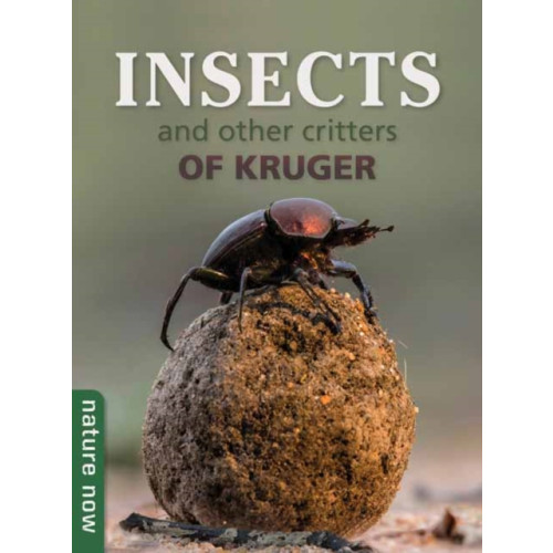 Penguin Random House South Africa Insects and other Critters of Kruger (häftad, eng)