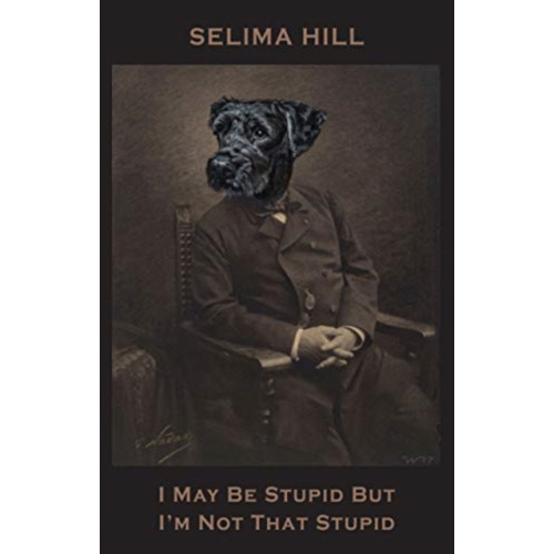 Bloodaxe Books Ltd I May Be Stupid But I'm Not That Stupid (häftad, eng)