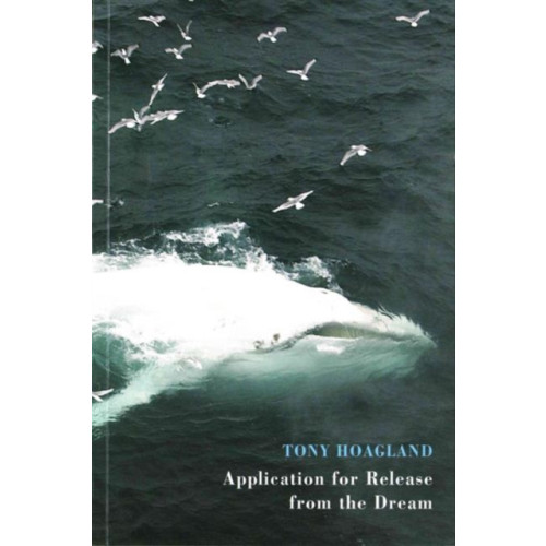 Bloodaxe Books Ltd Application for Release from the Dream (häftad, eng)