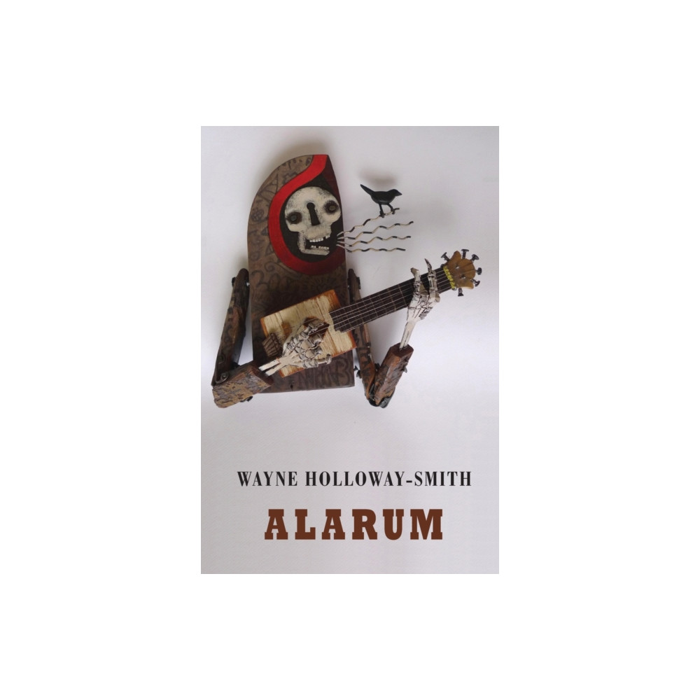 Produktbild för Alarum (häftad, eng)