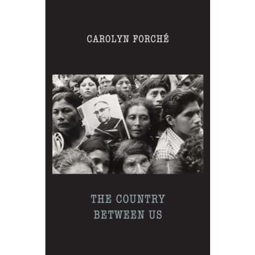 Bloodaxe Books Ltd The Country Between Us (häftad, eng)