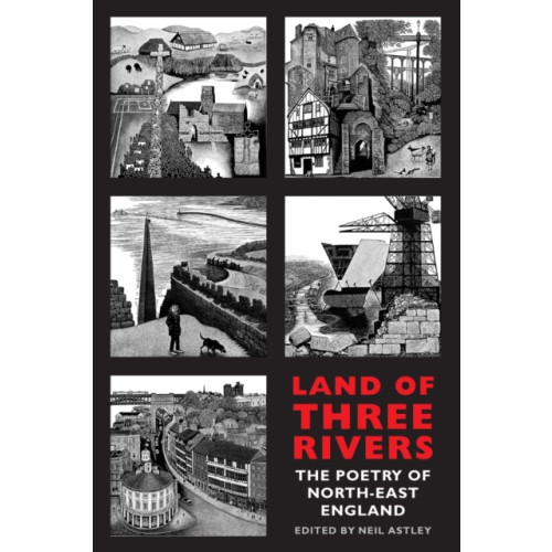 Bloodaxe Books Ltd Land of Three Rivers (häftad, eng)