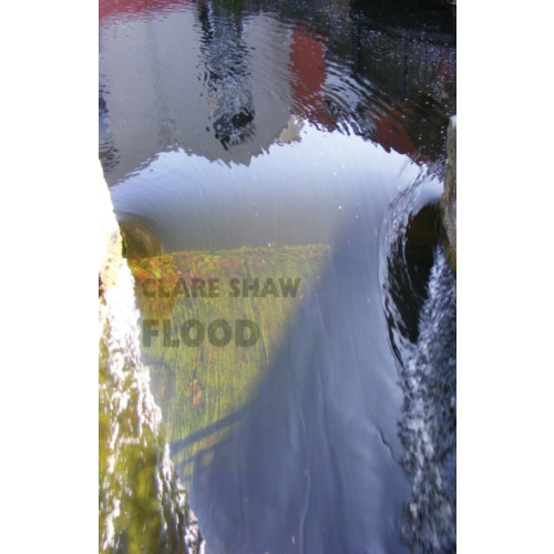 Bloodaxe Books Ltd Flood (häftad, eng)