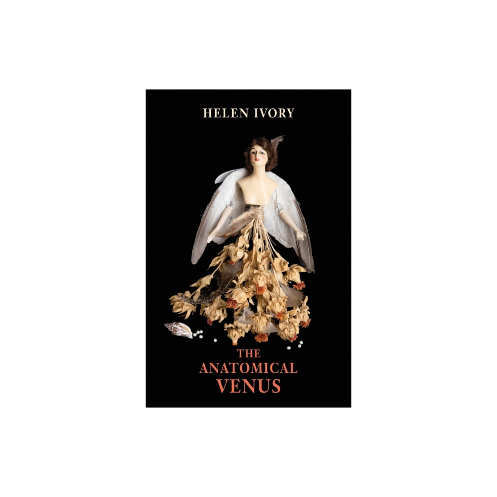 Produktbild för The Anatomical Venus (häftad, eng)