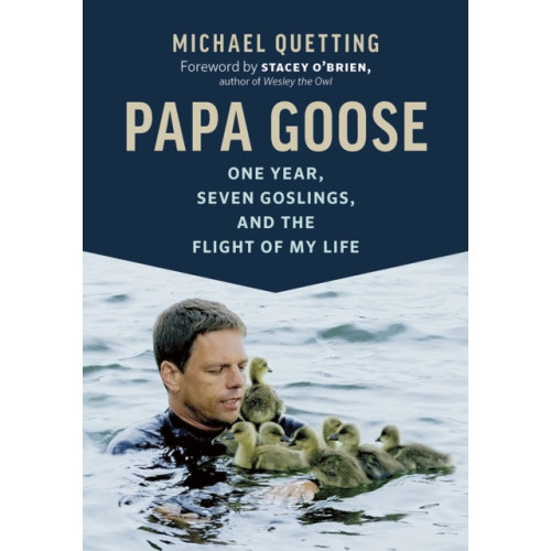 Greystone Books,Canada Papa Goose (inbunden, eng)