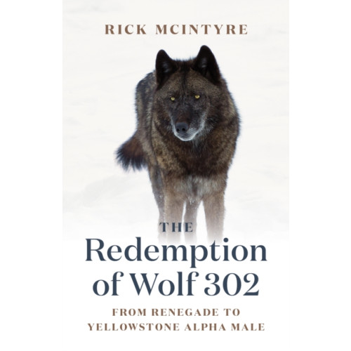 Greystone Books,Canada The Redemption of Wolf 302 (inbunden, eng)