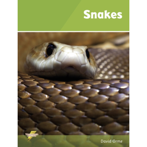 Ransom Publishing Snakes (häftad, eng)