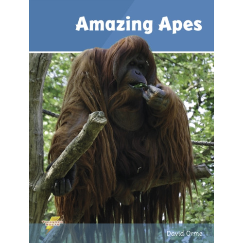 Ransom Publishing Amazing Apes (häftad, eng)