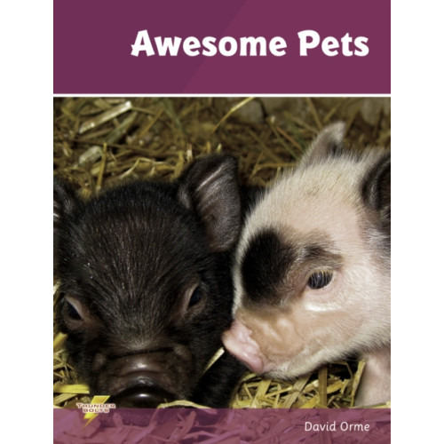 Ransom Publishing Awesome Pets (häftad, eng)