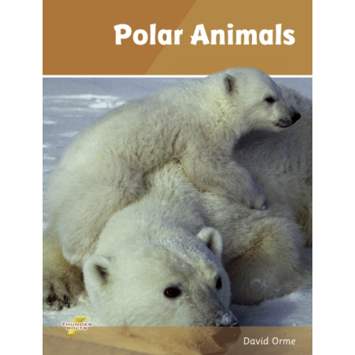 Ransom Publishing Polar Animals (häftad, eng)