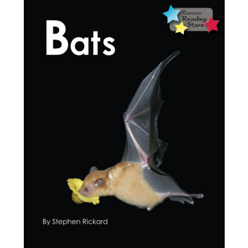 Ransom Publishing Bats (häftad, eng)