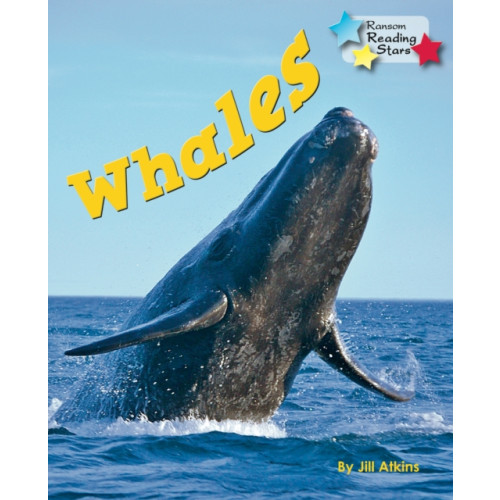 Ransom Publishing Whales (häftad, eng)