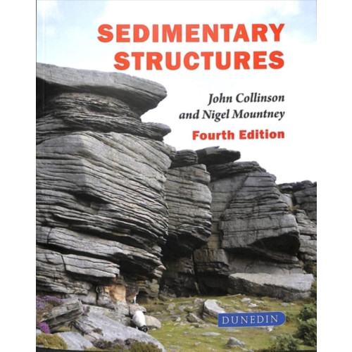 Liverpool University Press Sedimentary Structures (häftad, eng)