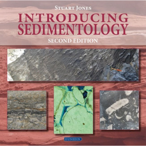 Liverpool University Press Introducing Sedimentology (häftad, eng)