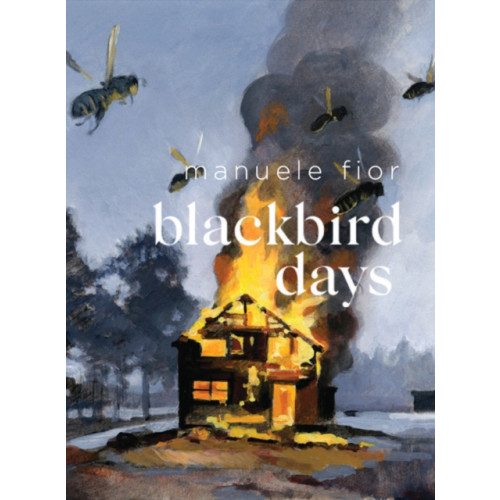 Fantagraphics Blackbird Days (inbunden, eng)