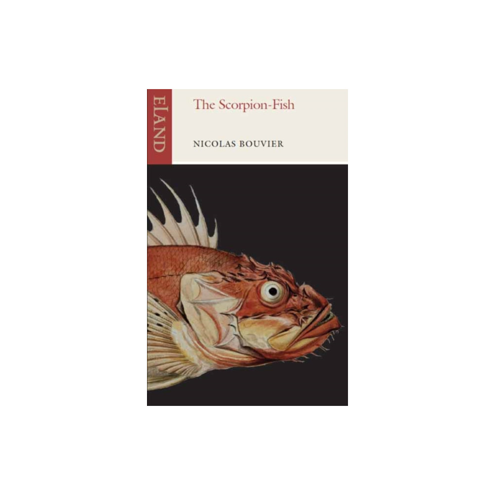 Produktbild för The Scorpion-Fish (häftad, eng)