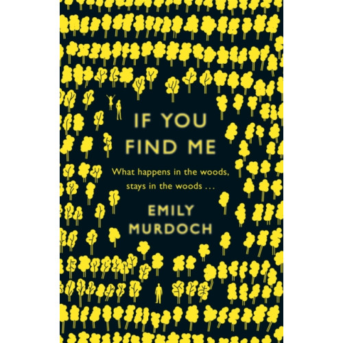 Hachette Children's Group If You Find Me (häftad, eng)