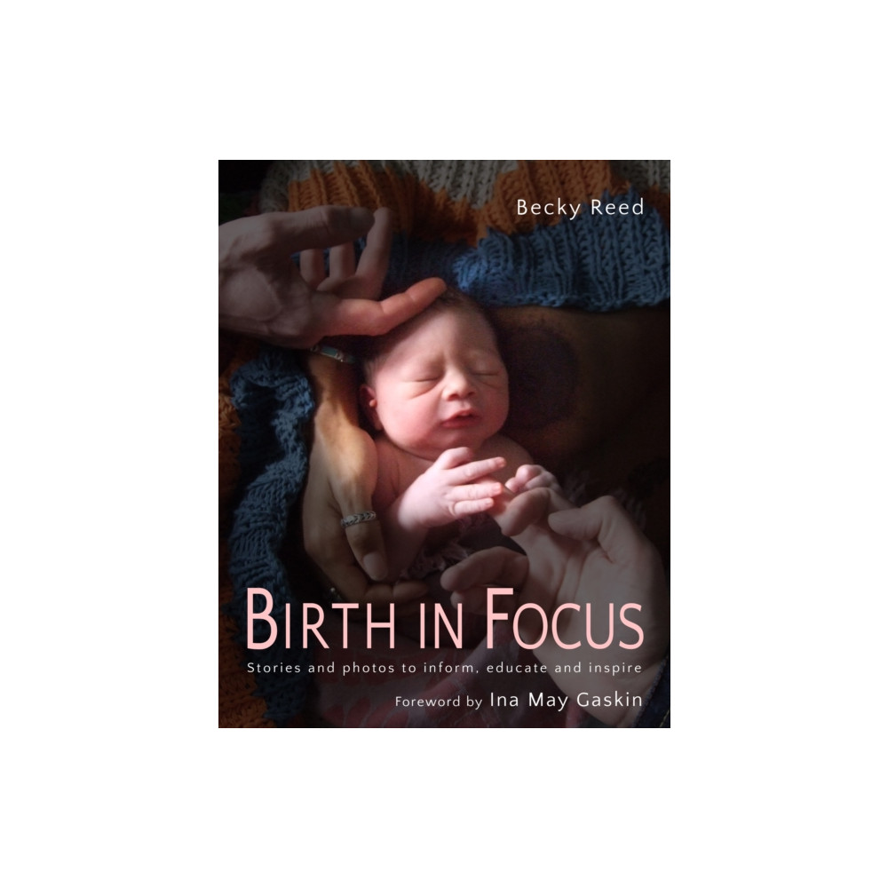 Produktbild för Birth in Focus (häftad, eng)