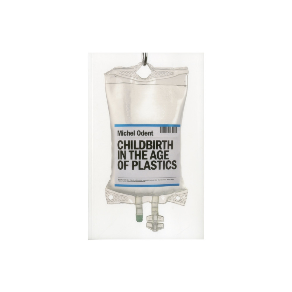 Produktbild för Childbirth in the Age of Plastics (häftad, eng)