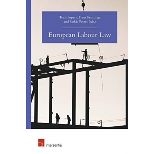 Intersentia Ltd European Labour Law (häftad, eng)