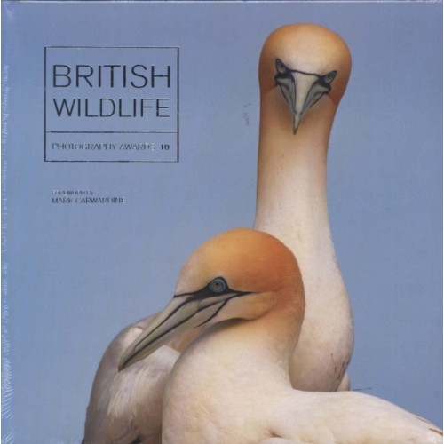 GMC Publications British Wildlife Photography Awards 10 (inbunden, eng)