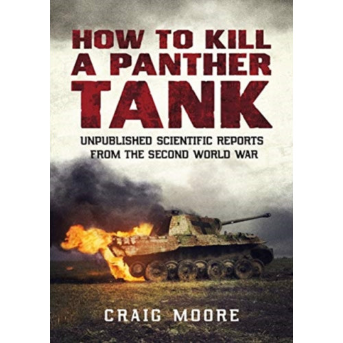 Fonthill Media Ltd How to Kill a Panther Tank (häftad, eng)