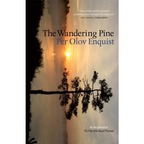 Quercus Publishing The Wandering Pine (häftad, eng)