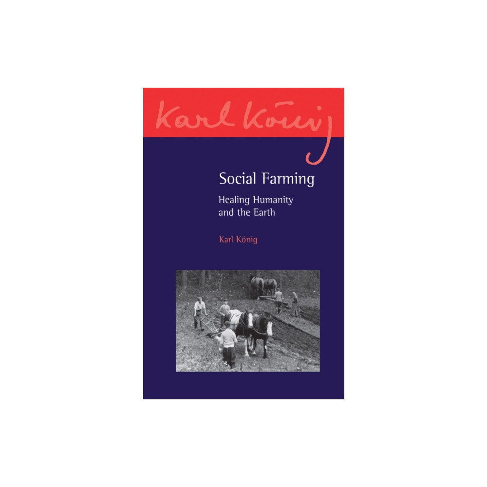 Produktbild för Social Farming (häftad, eng)