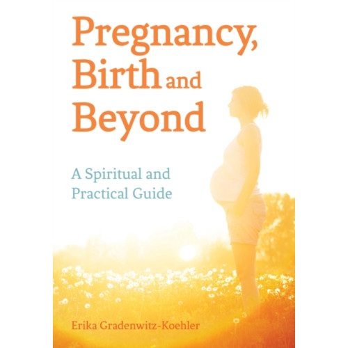 Floris Books Pregnancy, Birth and Beyond (häftad, eng)