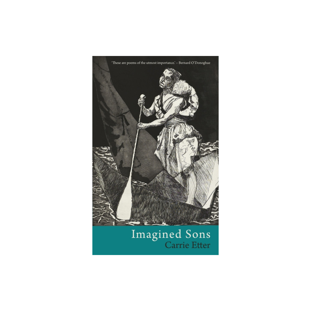 Produktbild för Imagined Sons (häftad, eng)