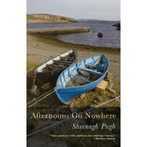 Poetry Wales Press Afternoons Go Nowhere (häftad, eng)