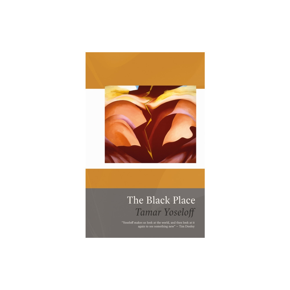 Produktbild för The Black Place (häftad, eng)